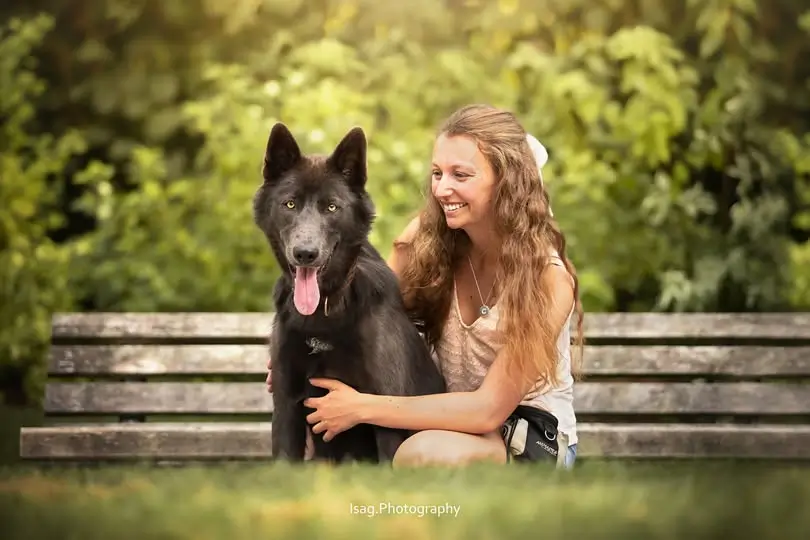 Chiens heureux dans notre garderie Inuitement Dog