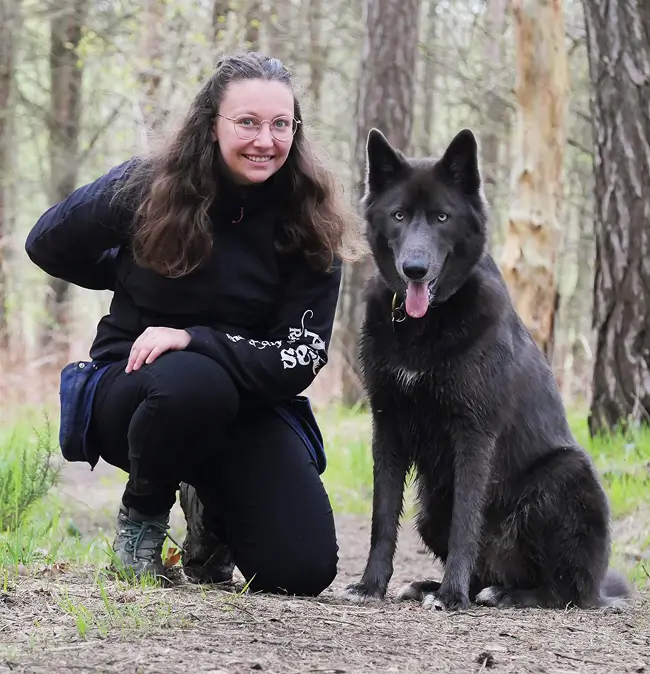 Chiens au repos dans la garderie