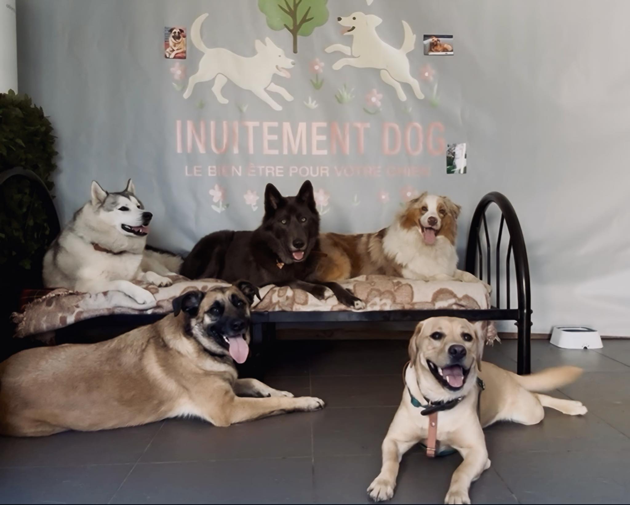 Notre nouvelle structure à Toufflers